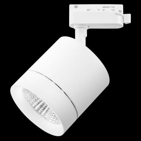 Трековый светодиодный светильник Lightstar Canno Led (Цанно Лед) 301262
