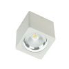 Светильник накладной Fiberli CH-SD220 12120103