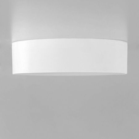 Светильник накладной Citilux Тао CL712120N
