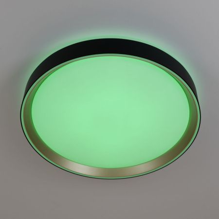 Светильник потолочный музыкальный Citilux Boss (Босс) CL751351G