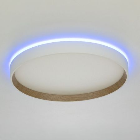 Светильник накладной Citilux Etalon (Еталон) CL750320R