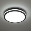 Светильник потолочный Citilux Luns (Лунс) CL711021V