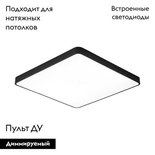 Светильник накладной Arte Lamp Scena (Сцена) A2669PL-1BK - фото 2