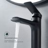 Смеситель Splenka S50 S50.10.06 на раковину черный