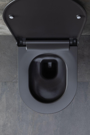 Чаша унитаза подвесная Allen Brau Priority 4.31001.AN цвет черный без сиденья безободковая каскадный смыв