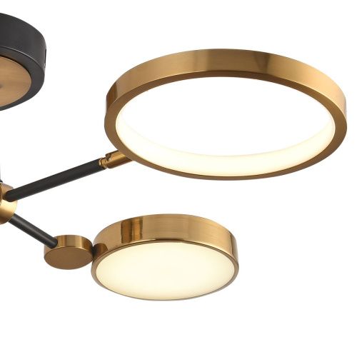 Люстра потолочная Natali Kovaltseva Loft Led (Лофт Лед) LED LAMPS 81102/4C BRASS BLACK - фото 2