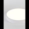 Светильник потолочный Natali Kovaltseva LED LAMPS 81111/5C