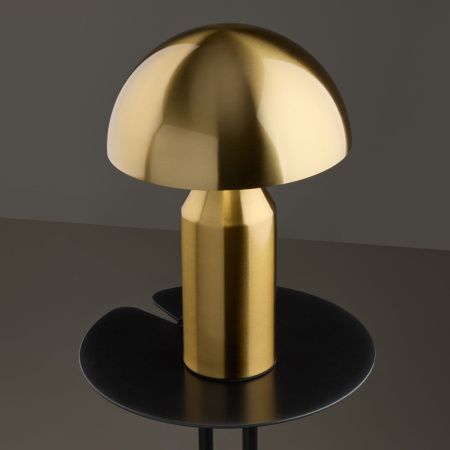 Настольная лампа Freya Eleon FR5218TL-01BS