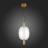 Светильник подвесной ST Luce ALLENORE (АЛЛЕНОРЕ) SL1582.313.01