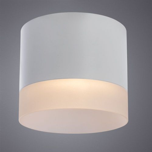 Светильник потолочный Arte Lamp Castor (Цастор) A5554PL-1WH - фото 4