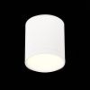 Светильник потолочный ST Luce Rene (Рене) ST113.532.05