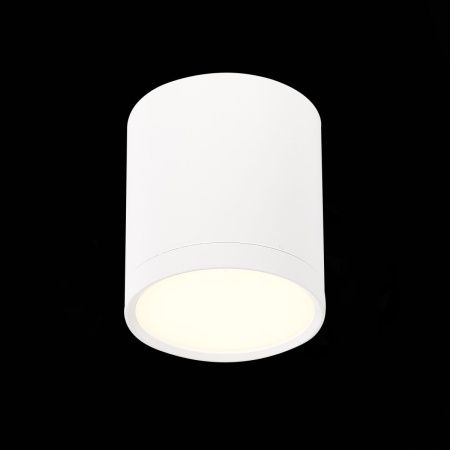 Светильник потолочный ST Luce Rene (Рене) ST113.532.05