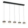 Люстра потолочная Delight Collection Indiana (Индиана) MD22030002-5B black/clear