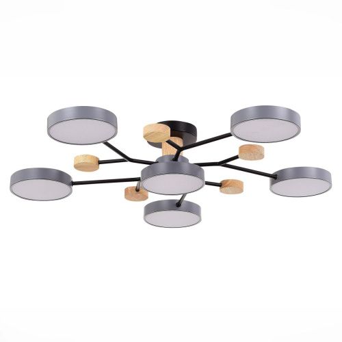 Люстра на штанге Evoluce Faema (Фаема) SLE6006-702-06 - фото 2