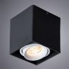 Светильник потолочный Arte Lamp Pictor (Пицтор) A5654PL-1BK
