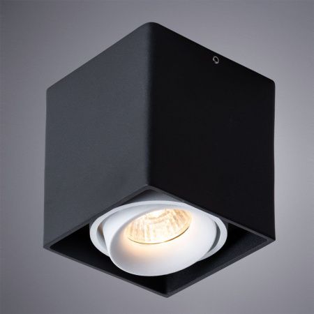 Светильник потолочный Arte Lamp Pictor (Пицтор) A5654PL-1BK