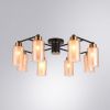 Люстра потолочная Arte Lamp Leo (Лео) A7027PL-8BK