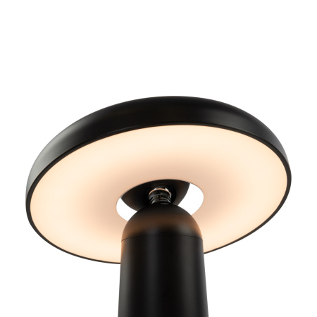 Настольная лампа Freya Mushroom (Гриб) FR6109TL-L4B