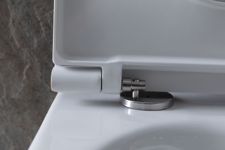 Чаша унитаза подвесная Allen Brau Reality 4.32006.20 цвет белый без сиденья безободковая каскадный смыв