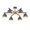 Люстра на штанге Lumion Colange (Цоланге) 8096/6C
