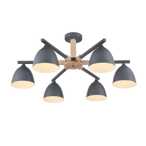 Люстра на штанге Lumion Colange (Цоланге) 8096/6C - фото 4