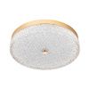 Светильник потолочный LED4U L1116-400 GD