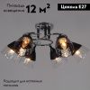 Люстра потолочная Reluce 70139-3.3-06 CR+BK