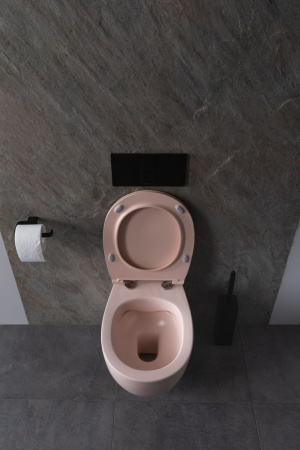 Чаша унитаза подвесная Allen Brau Fantasy 4.11004.SM цвет розовый без сиденья безободковая каскадный смыв