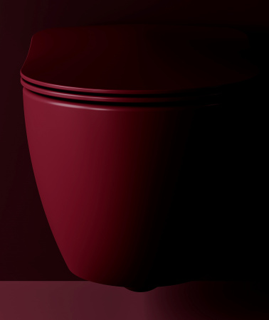 Крышка сиденье для унитаза Creavit Duck KC0903.01.1900E