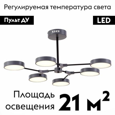 Светильник потолочный Evoluce Monta (Монта) SLE6003-702-06