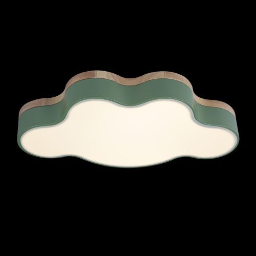 Светильник потолочный Loft It Axel 10005/30 Green - фото 5