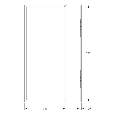 Зеркало Evoform Comfort BY 0911 30х70 подвесное
