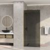 Душевая перегородка Wasserkraft Rur 30W 30W40BG-TG 120х200 стекло тонированное профиль золото