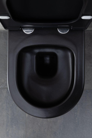 Чаша унитаза подвесная Allen Brau Priority 4.31002.31 цвет черный матовый без сиденья безободковая каскадный смыв
