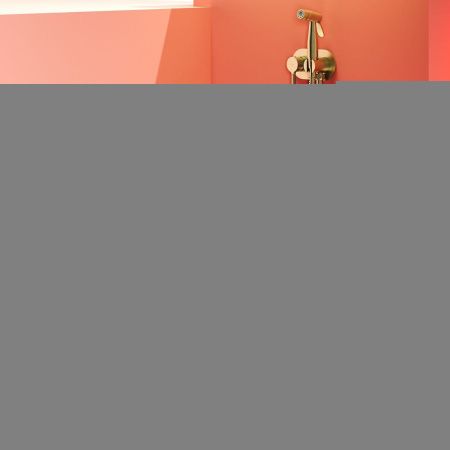 Гигиенический душ со смесителем Raglo R20 R20.52.03 золото