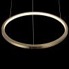 Светильник подвесной Loft It Ring 10014S