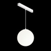 Трековый светильник Maytoni Technical Luna (Луна) TR039-4-5W3K-WW-DS-W