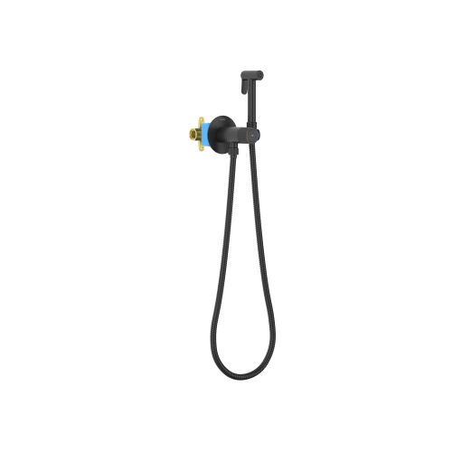 Гигиенический душ Aquatek БЕТТА AQ1023MB черный матовый