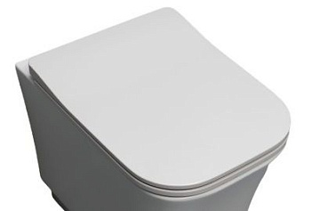 Крышка сиденье White Ceramic Idea WC100SFMSL