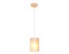 Светильник подвесной Ambrella Light Traditional (Традитионал) TR3681