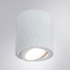 Светильник накладной Arte Lamp Fang (Фанг) A5559PL-1WH