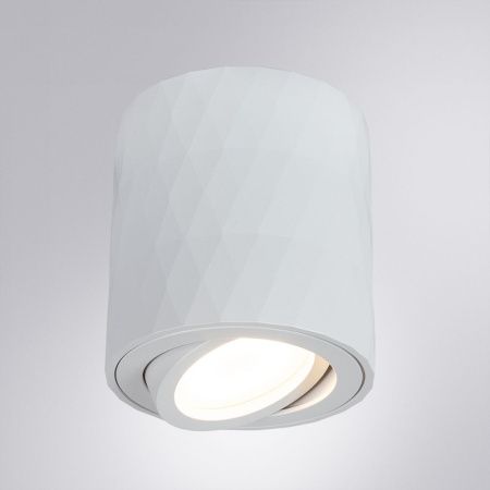 Светильник накладной Arte Lamp Fang (Фанг) A5559PL-1WH