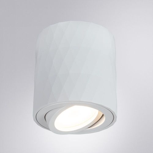Светильник накладной Arte Lamp Fang (Фанг) A5559PL-1WH - фото 2