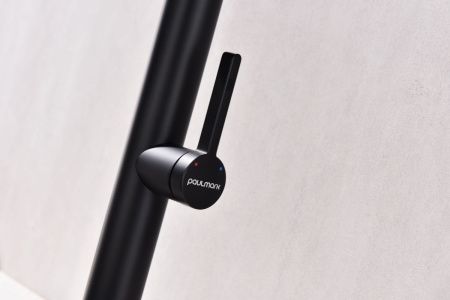 Смеситель для кухни Paulmark LEADER Le214101-AN на мойку черный