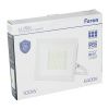 Светодиодный прожектор Feron 52081