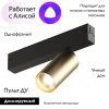 Трековый светильник Denkirs Smart Spot (Смарт Спот) DK8010-BG