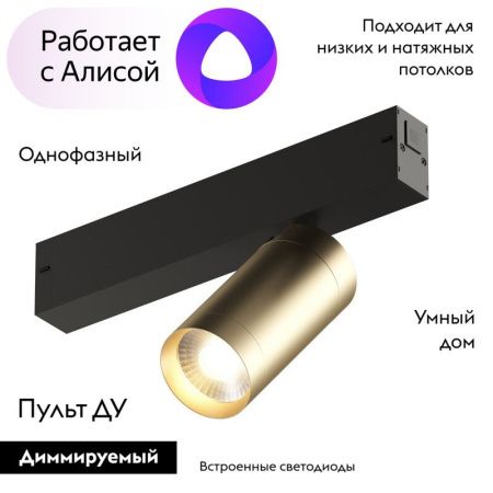 Трековый светильник Denkirs Smart Spot (Смарт Спот) DK8010-BG