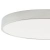 Светильник потолочный Zortes Tortty (Тортты) ZRS.02565.120