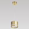 Светильник подвесной Citilux Hardy (Харды) CL002P12
