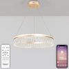 Люстра подвесная Natali Kovaltseva Led series 711 HIGH-TECH LED LAMPS 82051